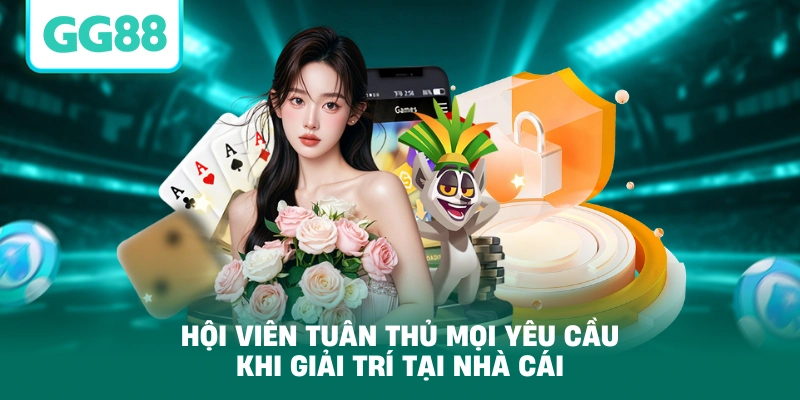 Hội viên tuân thủ mọi yêu cầu khi giải trí tại nhà cái